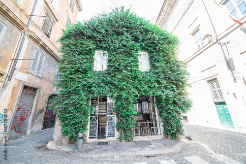 Canvas Print Green building in Monti district (Rome)