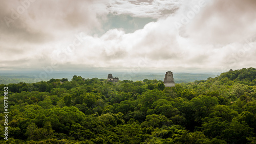 Jungle Tikal