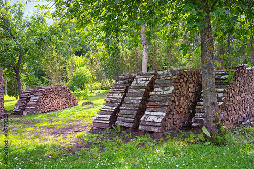 Row of firewood in the summer garden photo