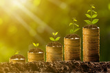 Money growing in soil,success concept