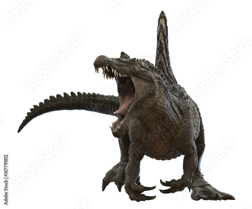 3D rendering of Spinosaurus being aggressive  isolated on a white background.