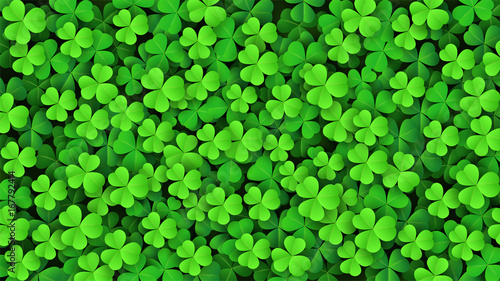 Clover leaves background. Suitable for Saint Patrick's Day, nature concept, and other. Vector Illustration