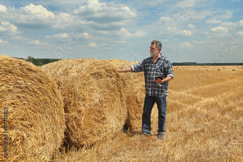 Farmer or agronomist examining bale of straw in field © sima