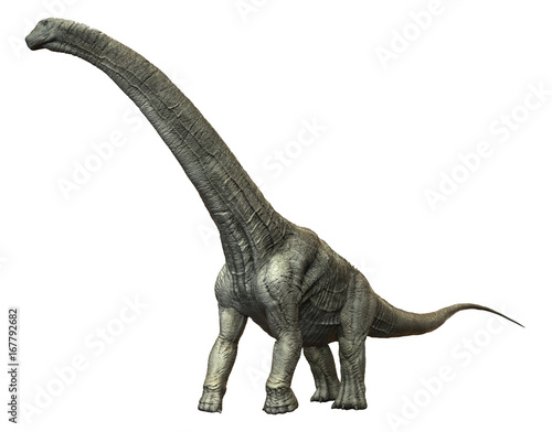 3D rendering of Alamosaurus, isolated on a white background. © Herschel Hoffmeyer