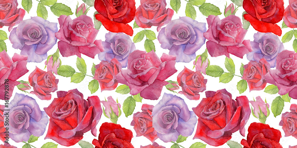 Wildflower rosa flower pattern in a watercolor style. Full name of the plant: roses. Aquarelle wild flower for background, texture, wrapper pattern, frame or border. Wildflower rosa flower pattern in a watercolor style. Full name of the plant: roses. Aquarelle wild flower for background, texture, wrapper pattern, frame or border.