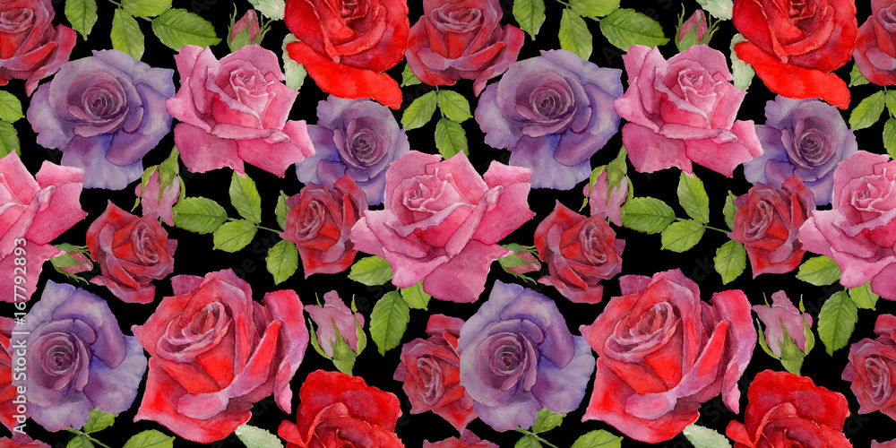 Wildflower rosa flower pattern in a watercolor style. Full name of the plant: roses. Aquarelle wild flower for background, texture, wrapper pattern, frame or border. Wildflower rosa flower pattern in a watercolor style. Full name of the plant: roses. Aquarelle wild flower for background, texture, wrapper pattern, frame or border.