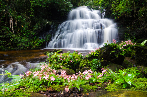 Nature landscape of waterfall hidden in the tropical  Thailand
