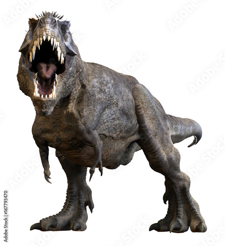 3D rendering of Tyrannosaurus Rex roaring, isolated on a white background. photo