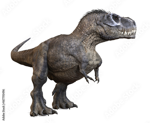 3D rendering of Tyrannosaurus Rex looking around, isolated on a white background.