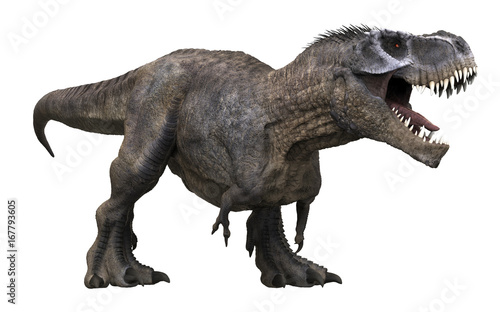 3D rendering of Tyrannosaurus Rex roaring, isolated on a white background. © Herschel Hoffmeyer