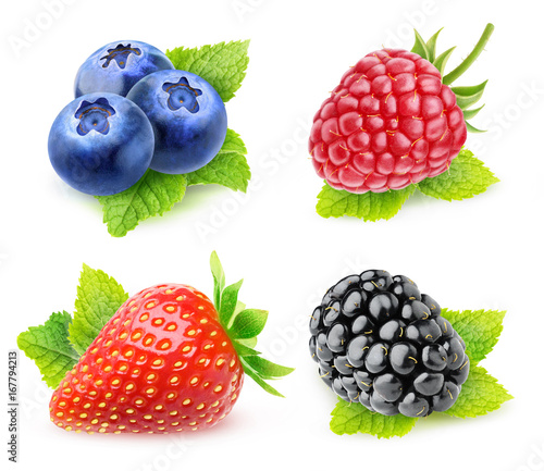 Collection of isolated berries with mint. Blueberries, strawberry, raspberry and blackberry with mint leaf isolated on white background with clipping path