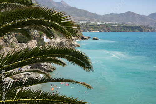 The Spanish summer coast with people on the beach in the blue water and the mountain in the background and a palm tree in the foreground