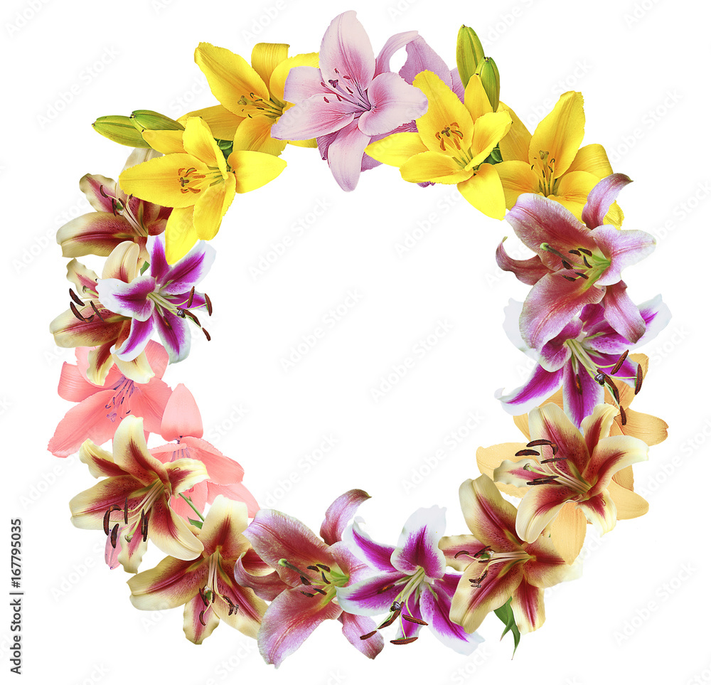 Wreath of lilies on a white background. Red, pink, yellow and green wreath of flowers