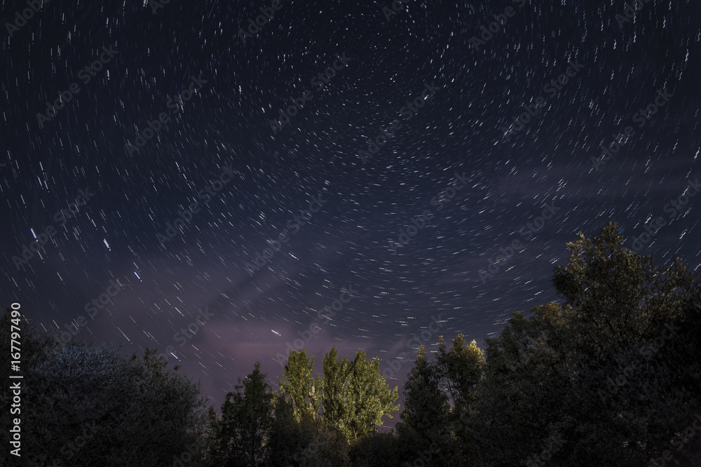 Naklejka premium Perseid meteor shower