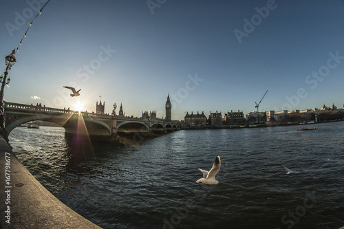 Sunset with Big Ben and Seagulls