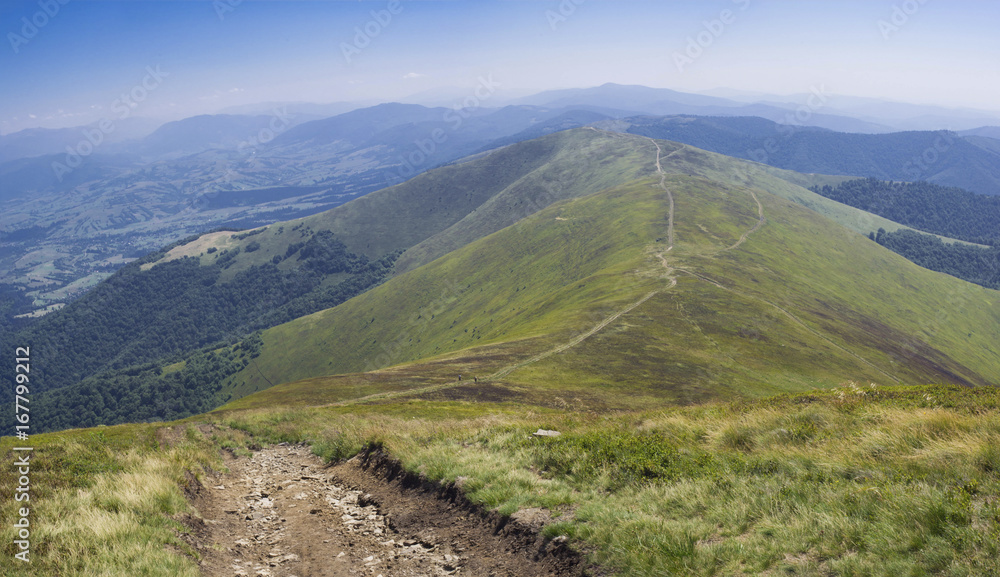 Fototapeta premium Хребет Боржава, горы, Украинские Карпаты. Mountains, Ukrainian Carpathians, ridge Borzhawa