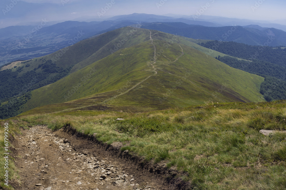 Fototapeta premium Хребет Боржава, горы, Украинские Карпаты. Mountains, Ukrainian Carpathians, ridge Borzhawa