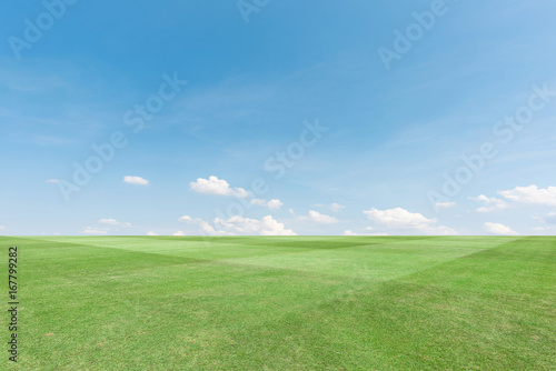 landscape of grass field and blue sky backgroud © yotrakbutda
