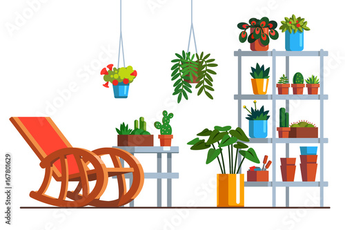 Home garden orangery or patio with room plants