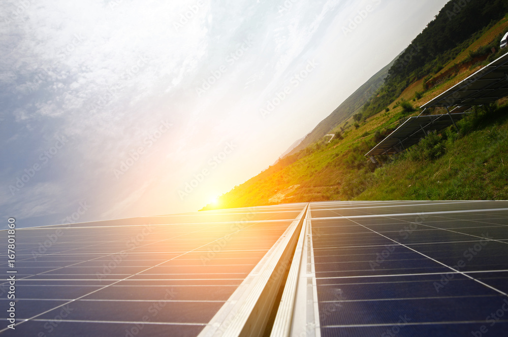 Fototapeta premium Solar panels