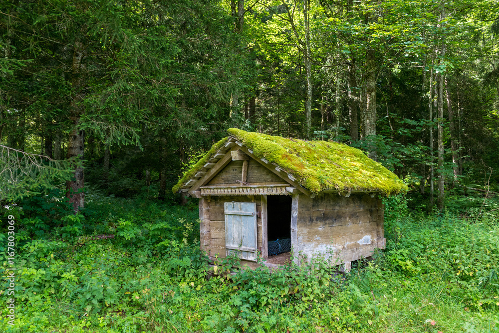 Moosbewachsenen Holzhaus in Grindelwald