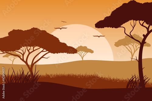 Photography Africa nature. Vector.
