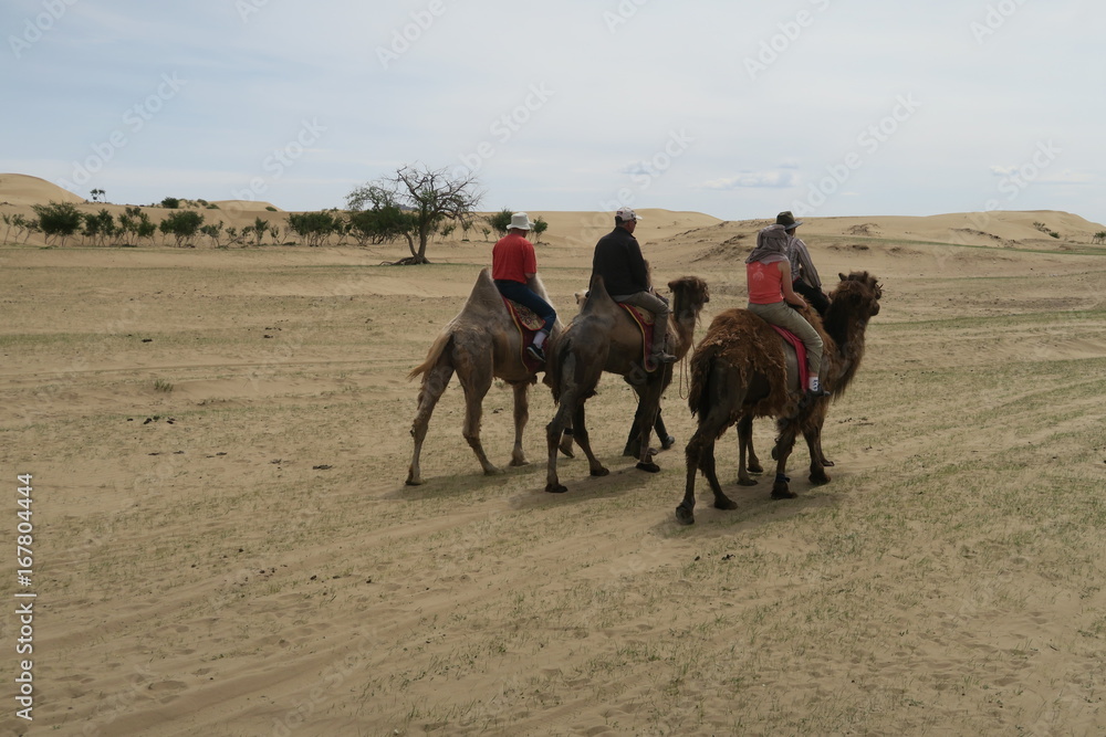 Naklejka premium Mongolie