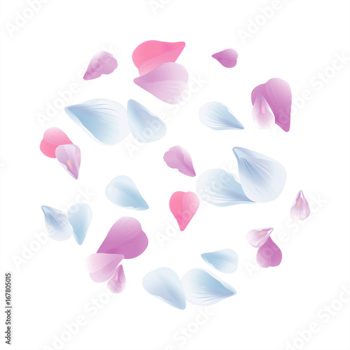 White Blue Pink Purple sakura flying petals isolated on White background. Petals Roses Flowers. Vector EPS 10, cmyk