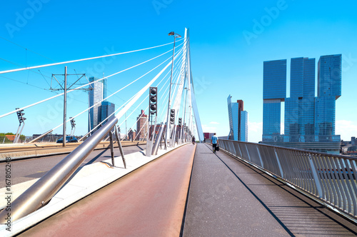 The architectures and landscapes of Rotterdam