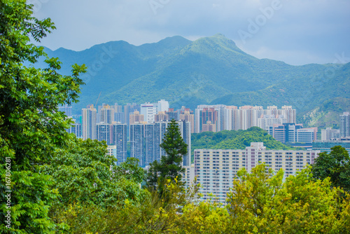 View from Mountain top in Hong Kong: Hong Kong housing in shatin