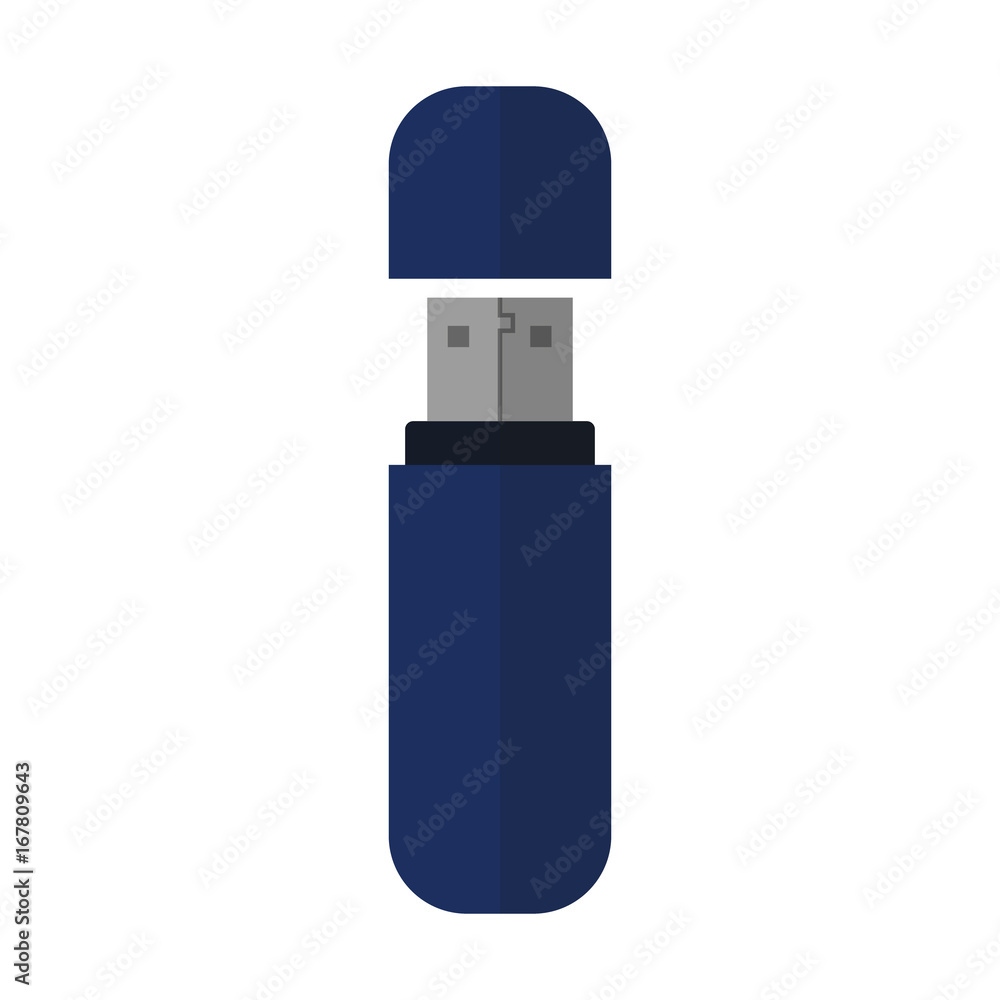 Flash memory. Vector. Flash memory. Vector.