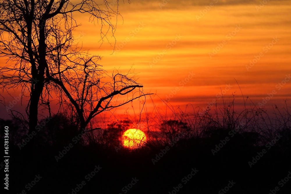 Sunset in the Okavango delta at sunset, Botswana Sunset in the Okavango delta at sunset, Botswana