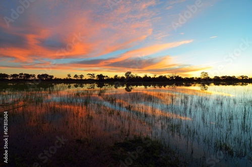 Sunset in the Okavango delta at sunset, Botswana