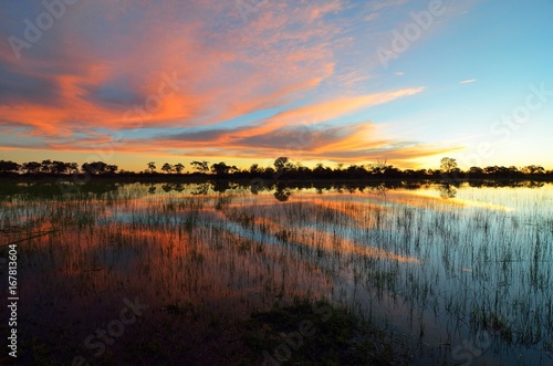 Sunset in the Okavango delta at sunset, Botswana photo