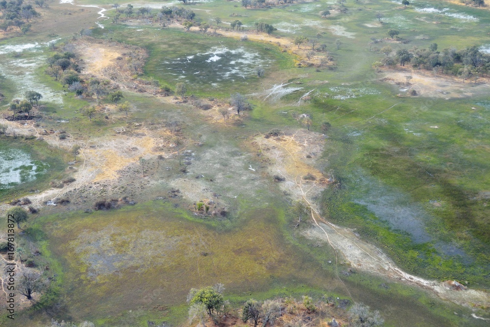 Aerial view of the Okavango delta, Botswana