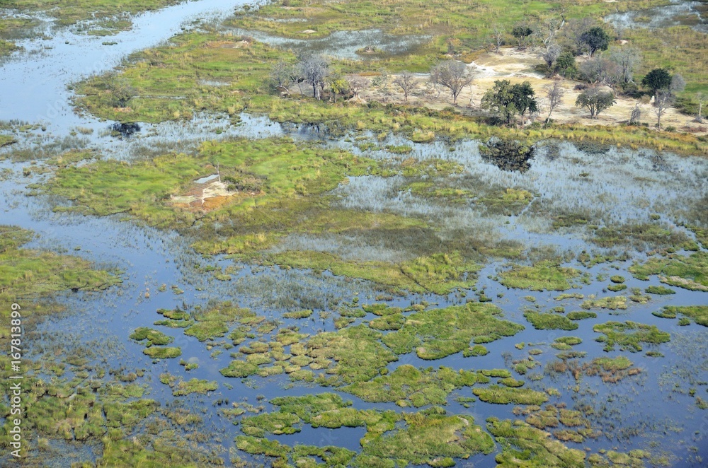 Aerial view of the Okavango delta, Botswana