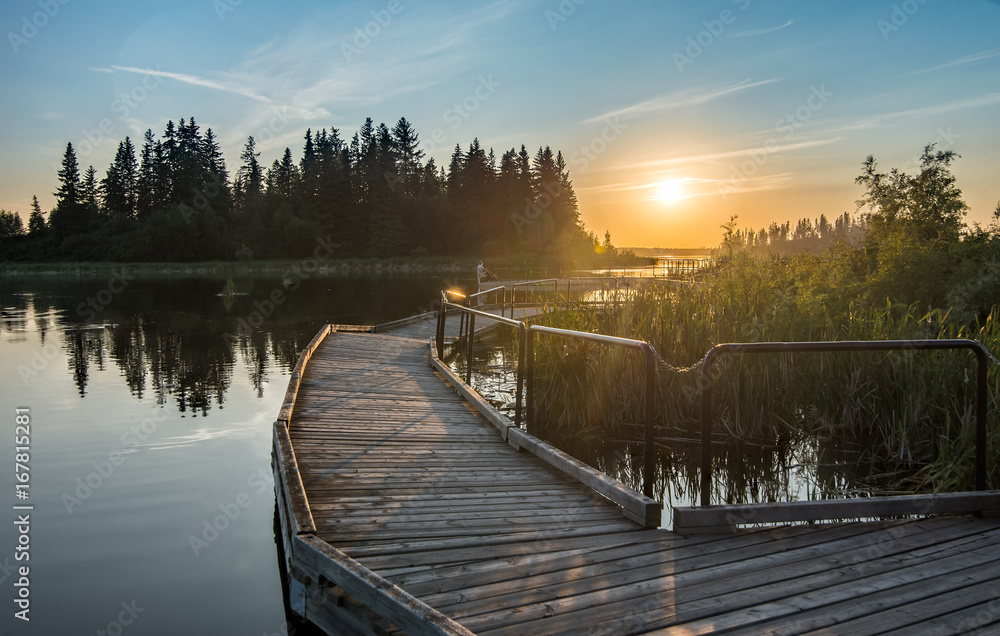Obraz premium Boardwalk with sunset in Elk Island Park