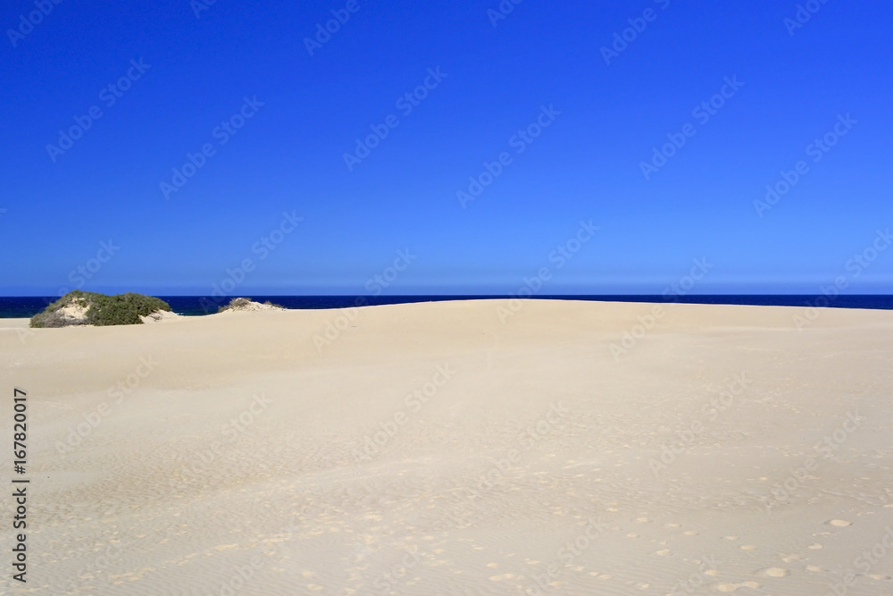 Fuerteventura - Corralejo, sand dunes nature park.