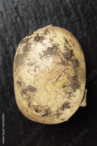 Young potato on a black background