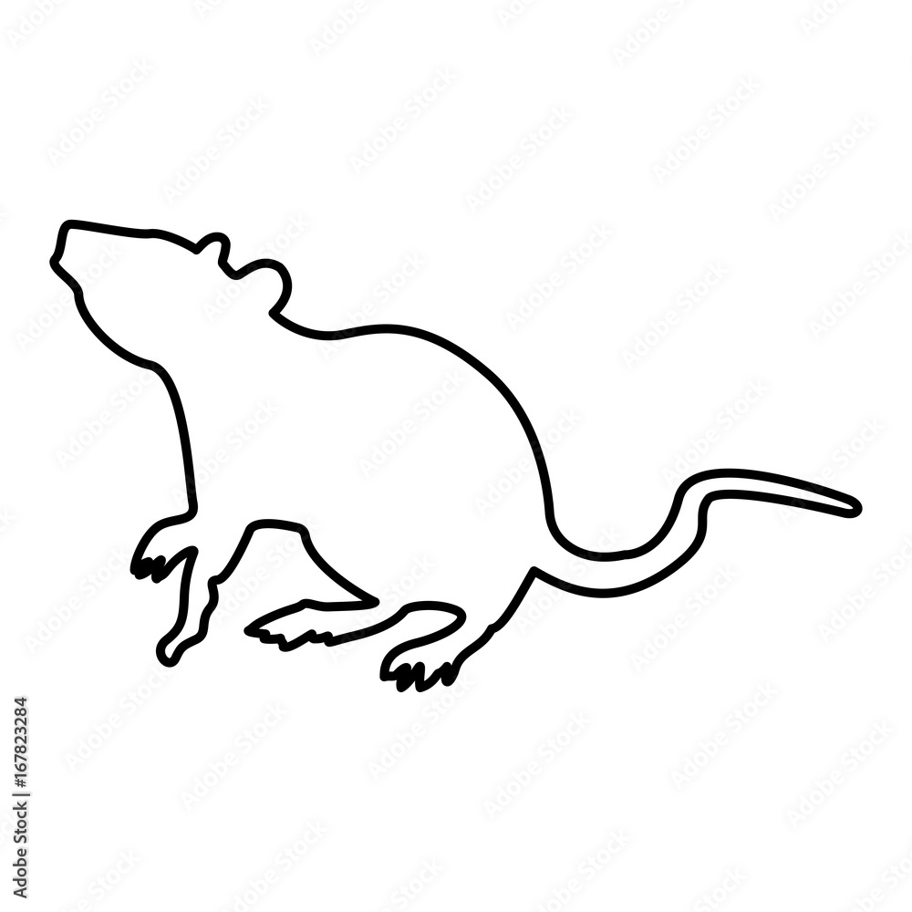 Rat black color icon .
