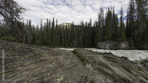 A scene along the Kicking Horse river in Yoho National Park, British Columbia, canada photo