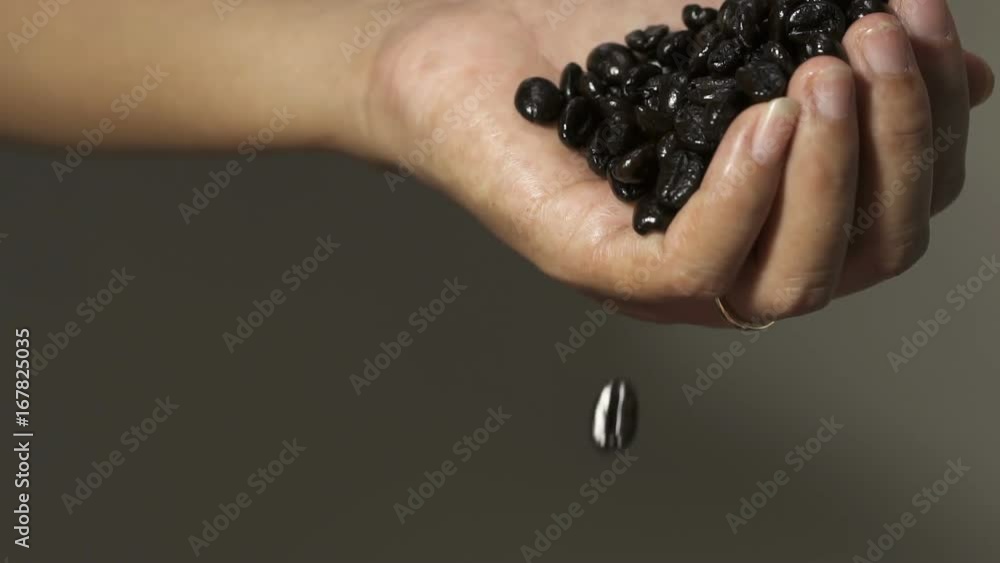 Slow motion, Coffee beans pouring, falling from held by woman hand.
Slow motion, Coffee beans pouring, falling from held by woman hand.