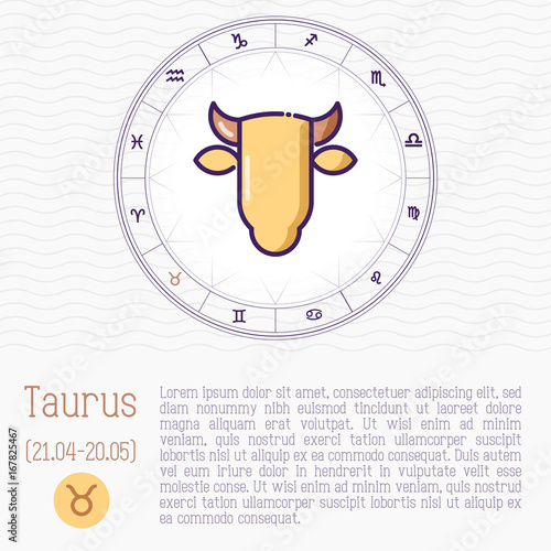 Taurus in zodiac wheel, horoscope chart with place for text. Thin line vector illustration.