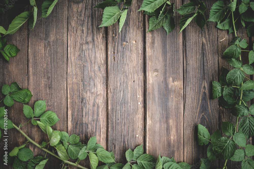 Obraz premium Green Ivy background around old wood