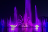 Multicolored musical fountain on a lake at night