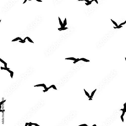 Seagulls - grunge seamless pattern with black little hand-drawn birds