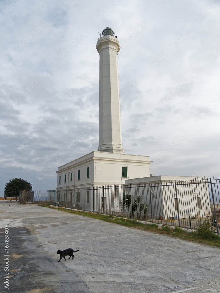 Fototapeta premium Leuca