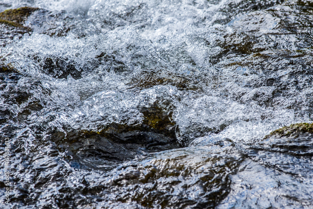 Fototapeta premium Water in Nature