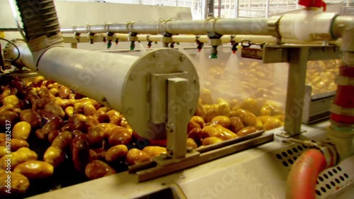 Potatoes on conveyor belt sprayed with water