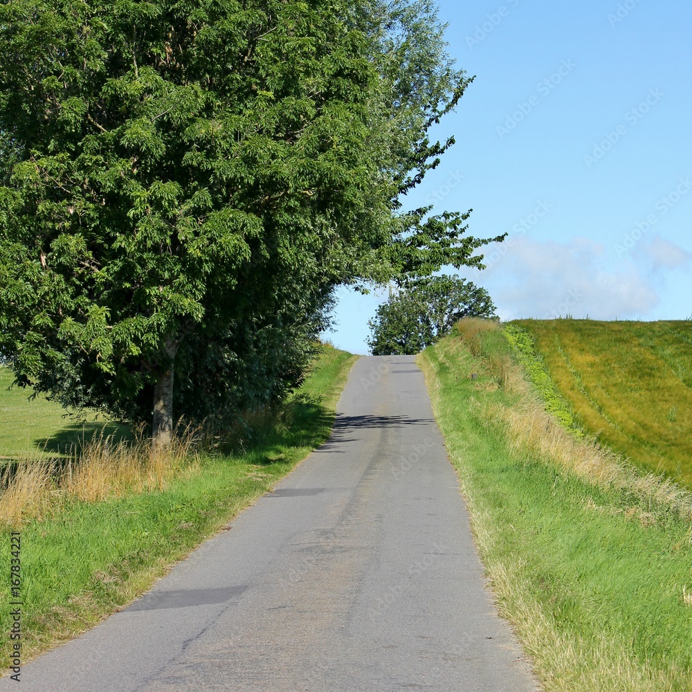 Small country road on the island of Bornholm, Denmark